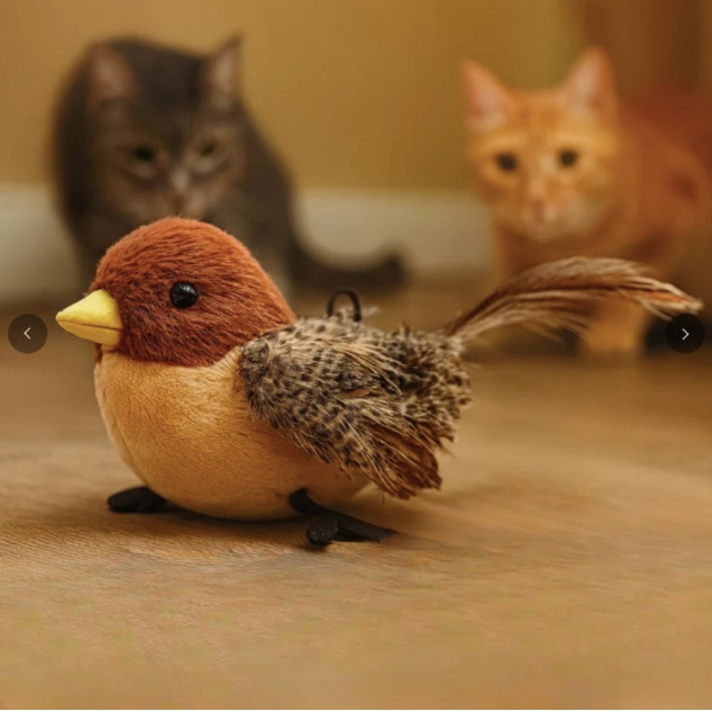 Singing bird™ - Uccellino Interattivo per Gatti