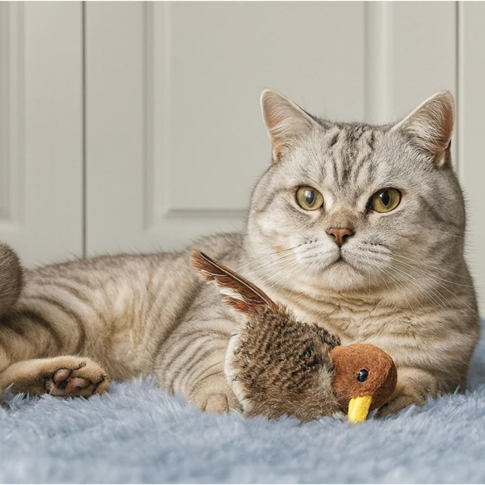 Singing bird™ - Uccellino Interattivo per Gatti