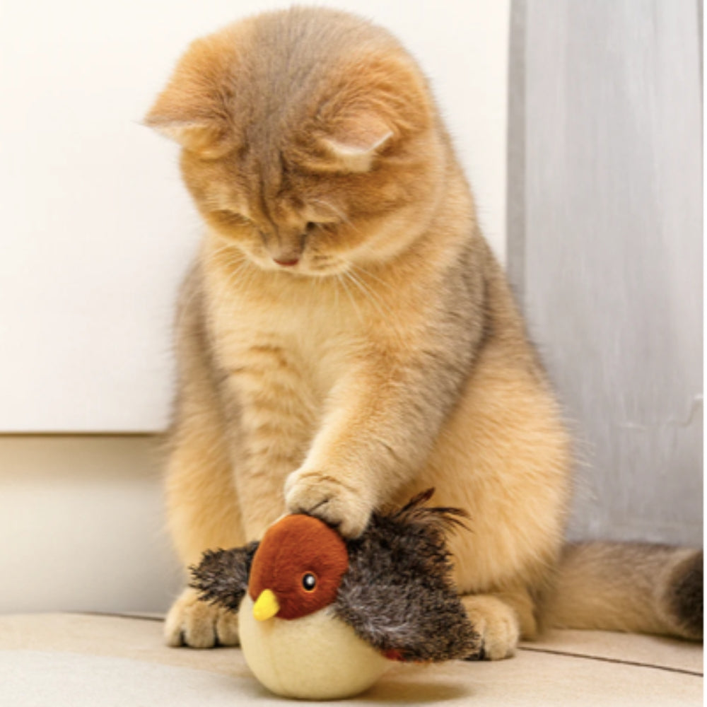 Singing bird™ - Uccellino Interattivo per Gatti