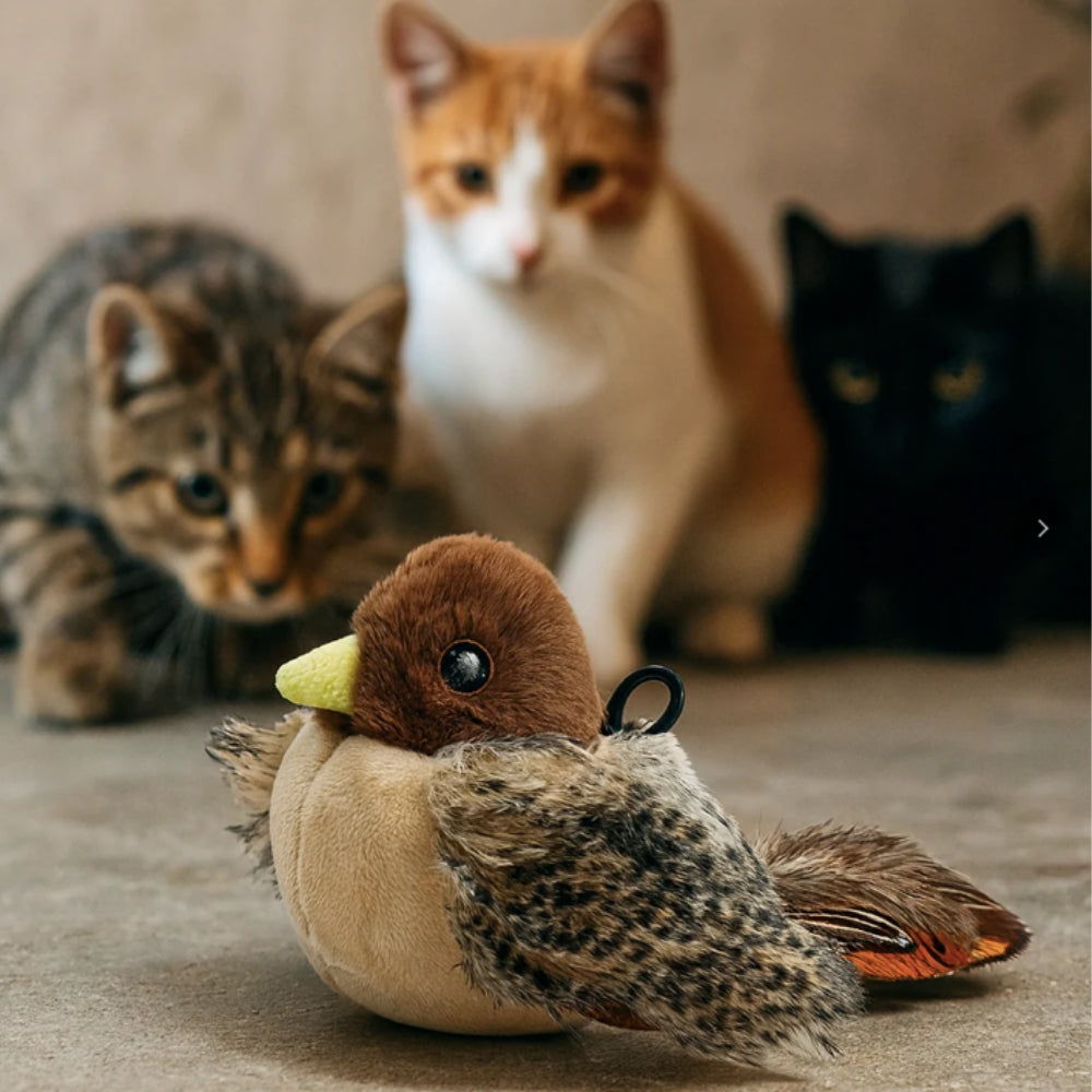 Singing bird™ - Uccellino Interattivo per Gatti